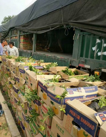 发往辽宁的：芍药